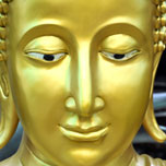 images 1